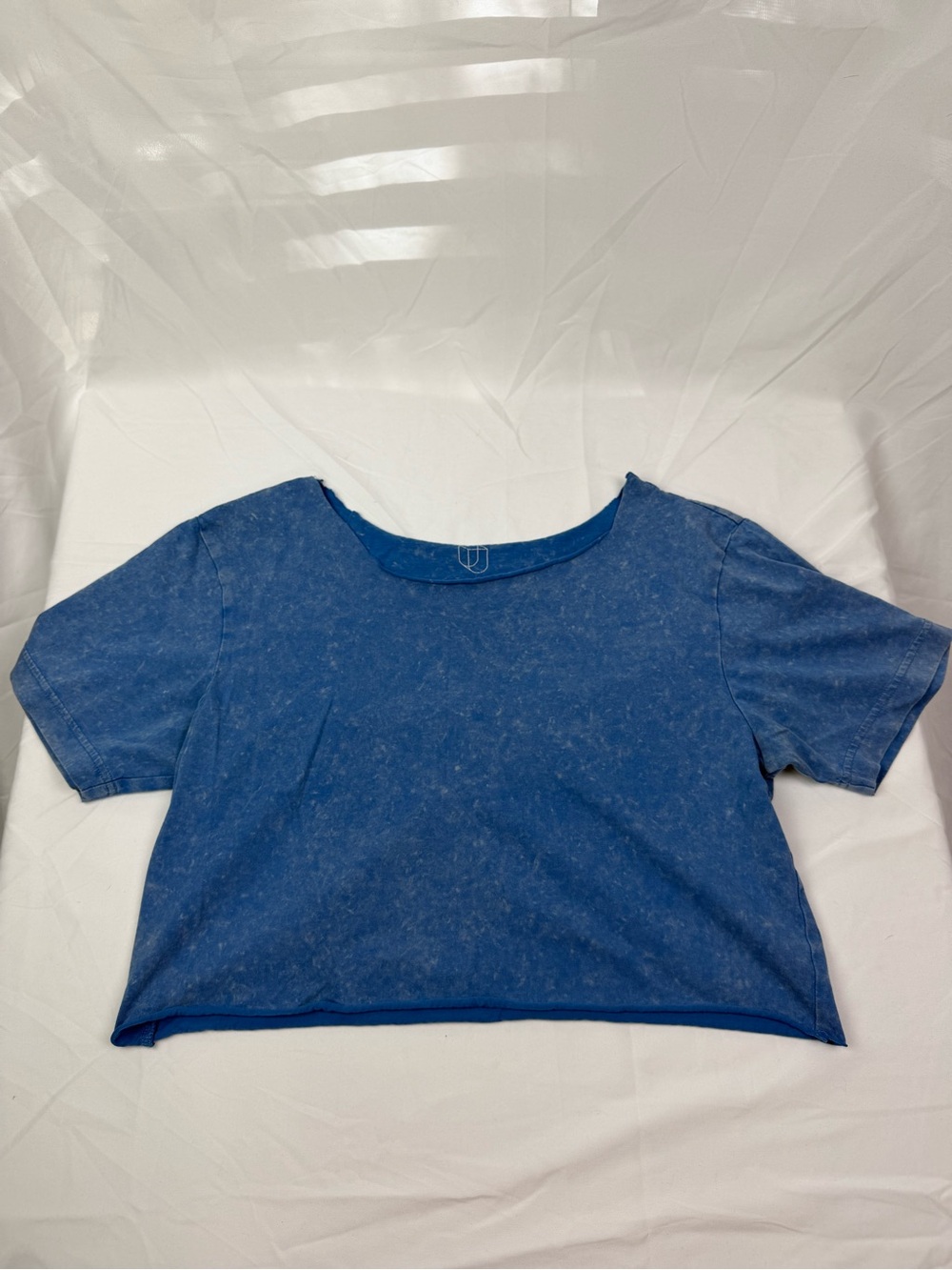 Original Use Blue Cropped Tee